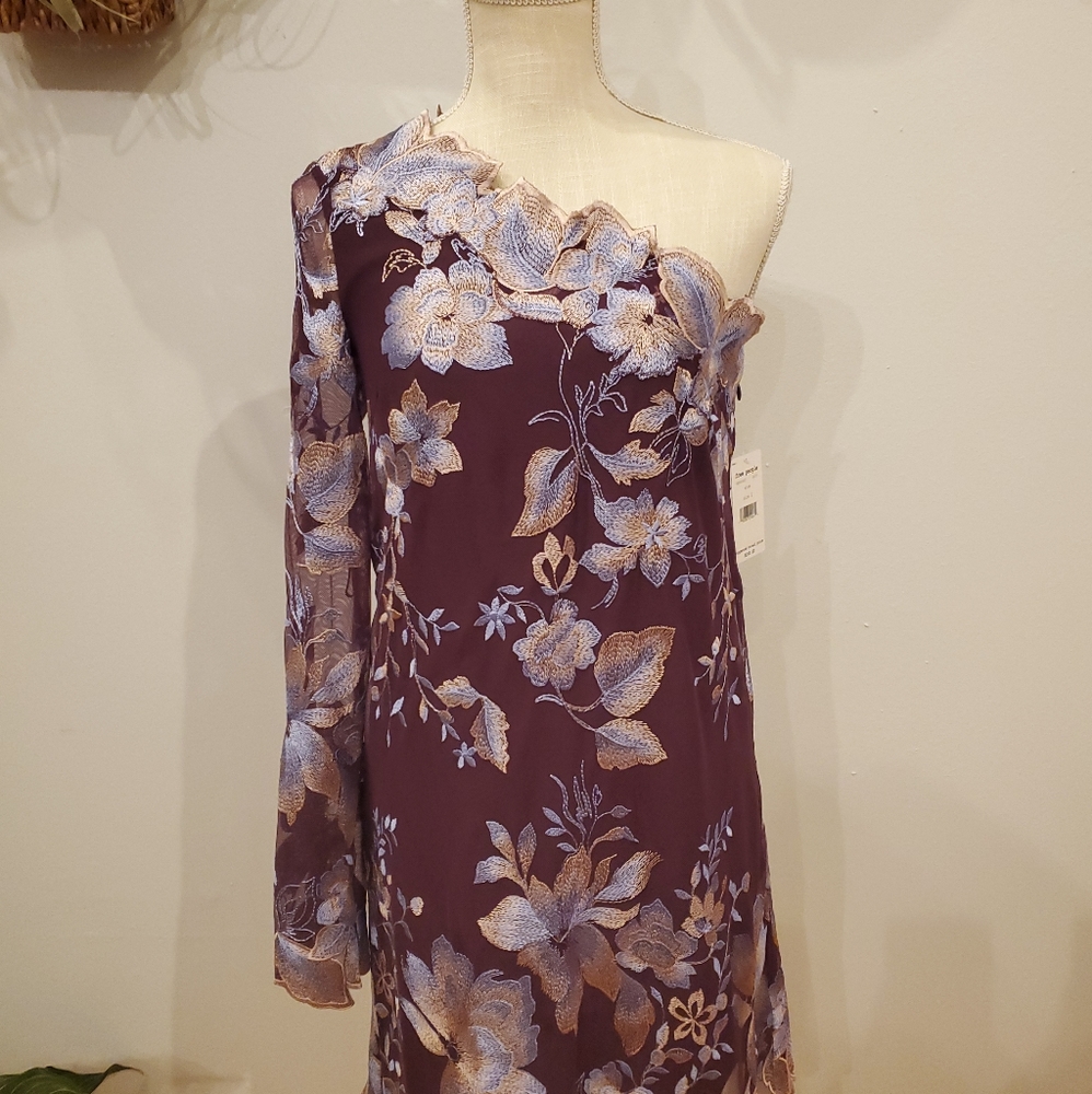 NWT Free People 1-Shoulder Embroidered Lace Dress